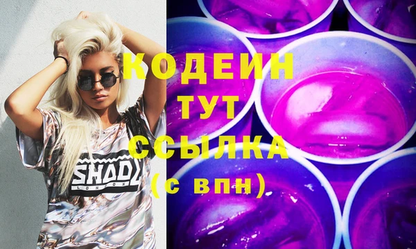 PSILOCYBIN Алзамай