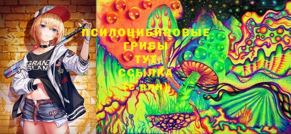 PSILOCYBIN Алзамай