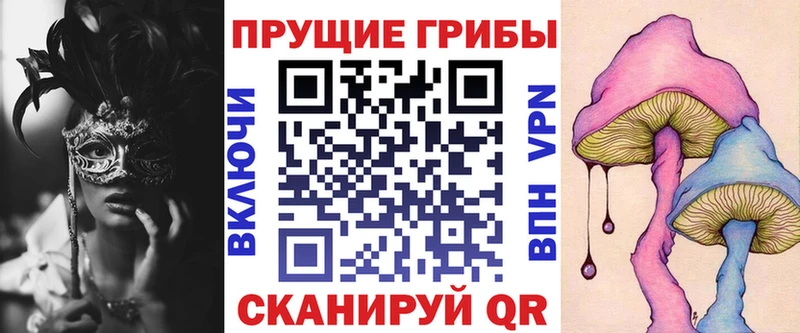 Псилоцибиновые грибы Psilocybine cubensis  Кочубеевское 